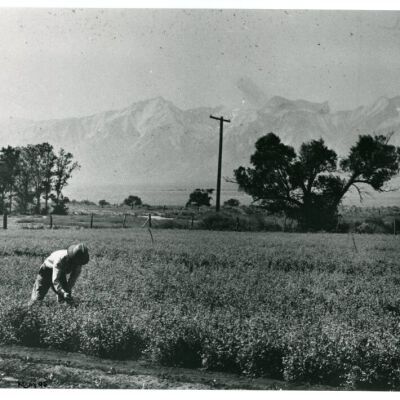 Print, Photographic