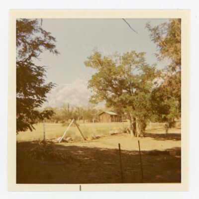 Print, Photographic