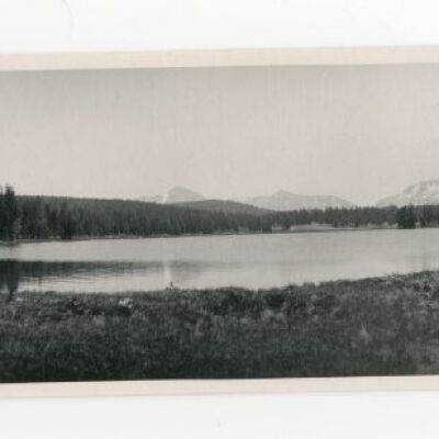Print, Photographic