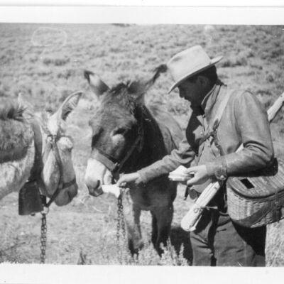 Print, Photographic