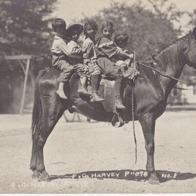 Postcard