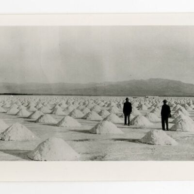 Print, Photographic