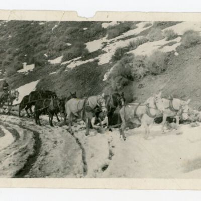 Print, Photographic