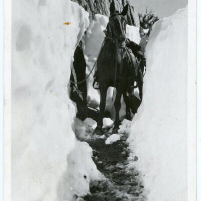 Print, Photographic