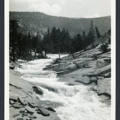 Print, Photographic