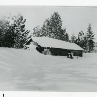 Print, Photographic
