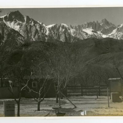Print, Photographic