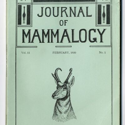 Journal of Mammalogy, Vol. 11, No. 1, February 1930