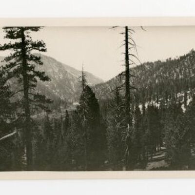 Print, Photographic