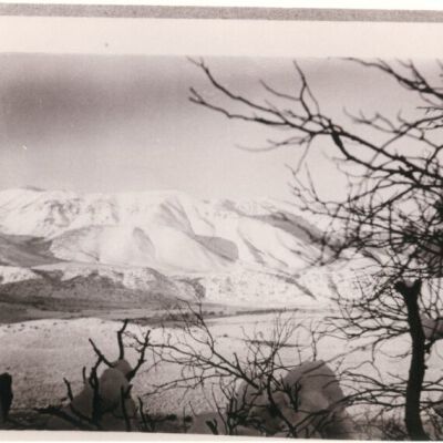 Print, Photographic