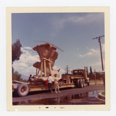 Print, Photographic