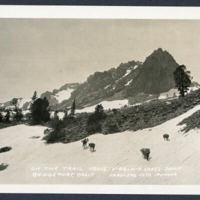 Print, Photographic