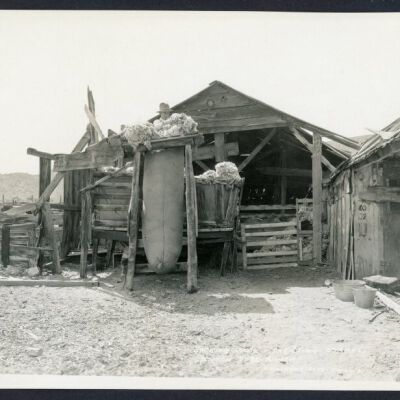 Print, Photographic