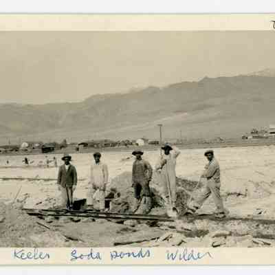 Print, Photographic