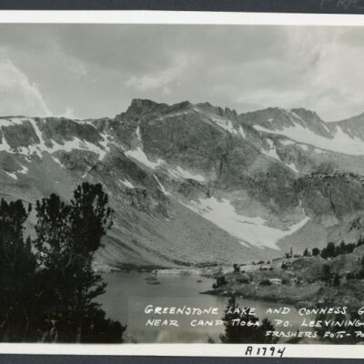 Print, Photographic