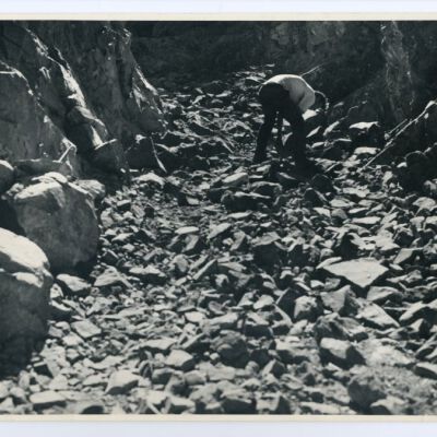 Print, Photographic
