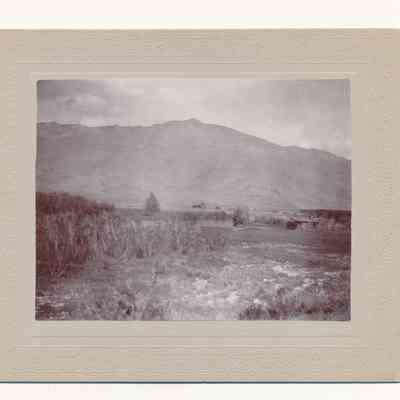Print, Photographic