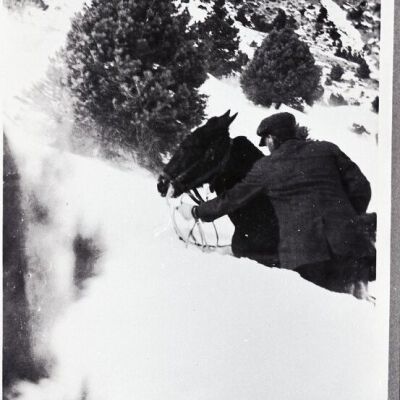 Print, Photographic