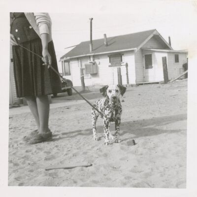 Print, Photographic