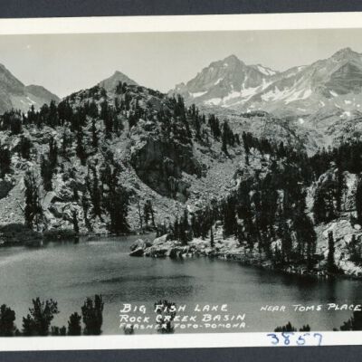 Print, Photographic
