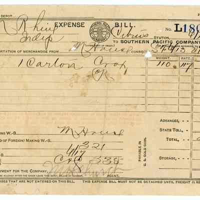 Expense Bill