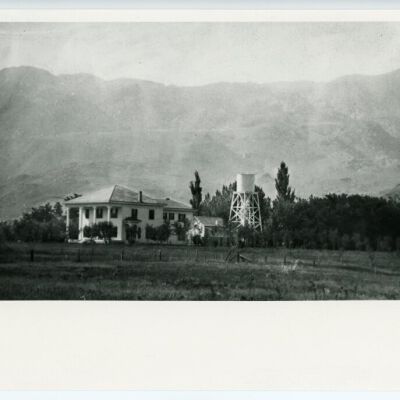 Print, Photographic
