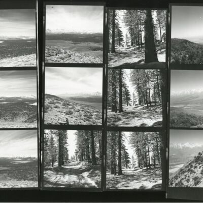 Print, Photographic