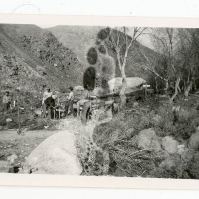 Print, Photographic