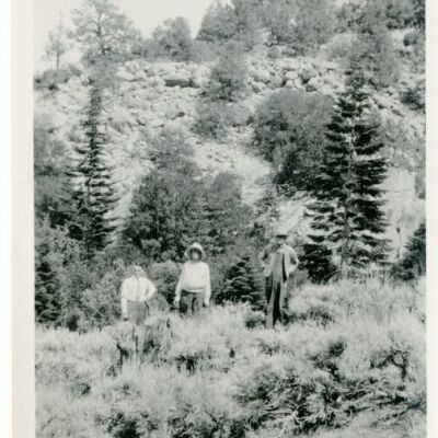 Print, Photographic