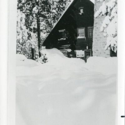 Print, Photographic