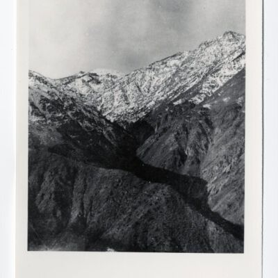 Print, Photographic