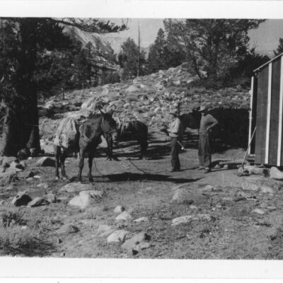 Print, Photographic