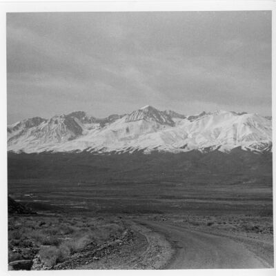 Print, Photographic