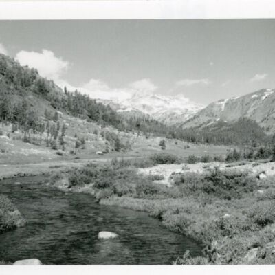 Print, Photographic