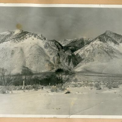 Print, Photographic