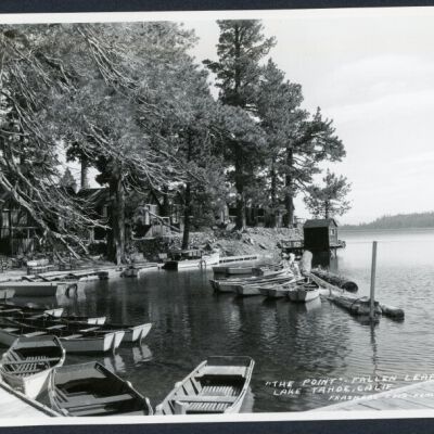 Print, Photographic