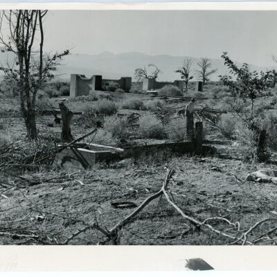 Print, Photographic