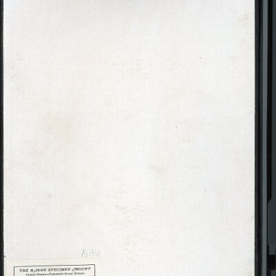 Resolution: 100 dpi