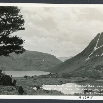 Print, Photographic
