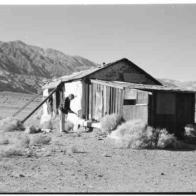 Print, Photographic