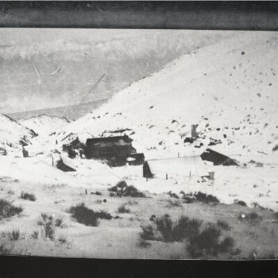 Print, Photographic