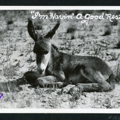 Print, Photographic