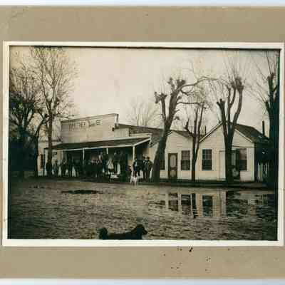 Print, Photographic