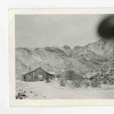Print, Photographic