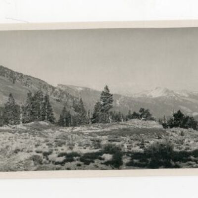 Print, Photographic