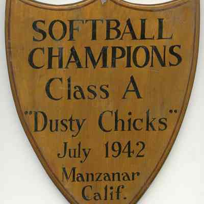 Plaque