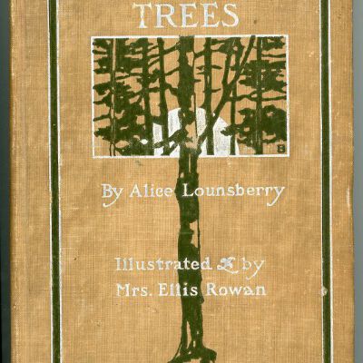A Guide to the Trees