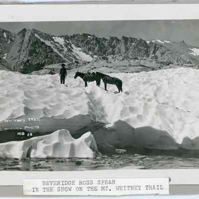 Mt. Whitney Trail