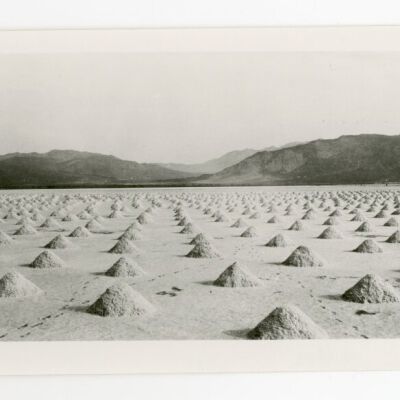 Print, Photographic