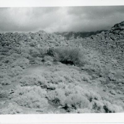 Print, Photographic